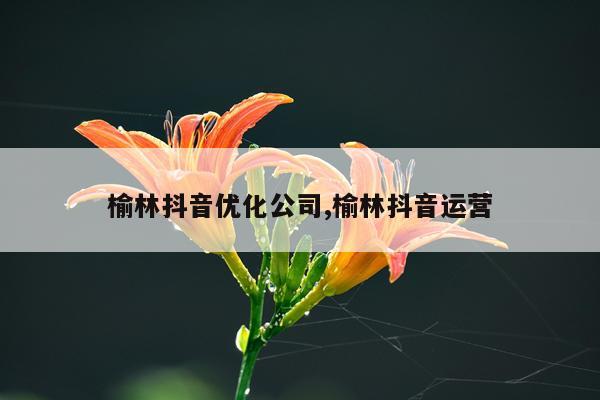榆林抖音优化公司,榆林抖音运营