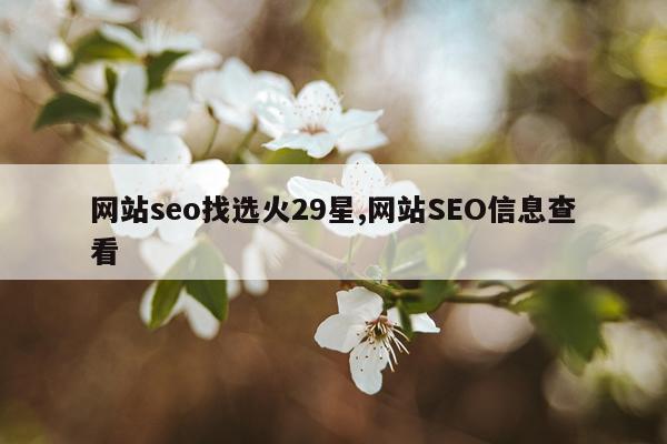 网站seo找选火29星,网站SEO信息查看