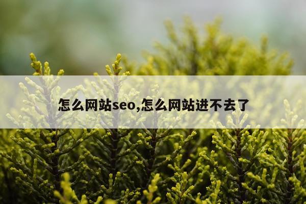 怎么网站seo,怎么网站进不去了