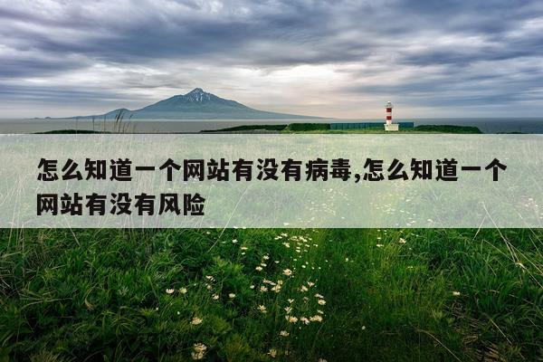 怎么知道一个网站有没有病毒,怎么知道一个网站有没有风险
