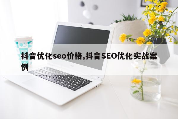 抖音优化seo价格,抖音SEO优化实战案例