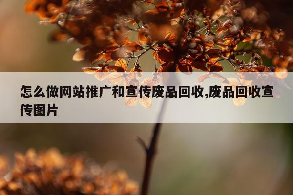 怎么做网站推广和宣传废品回收,废品回收宣传图片