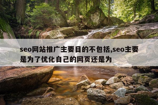 seo网站推广主要目的不包括,seo主要是为了优化自己的网页还是为