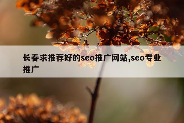 长春求推荐好的seo推广网站,seo专业推广