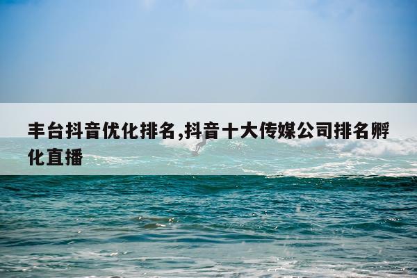 丰台抖音优化排名,抖音十大传媒公司排名孵化直播