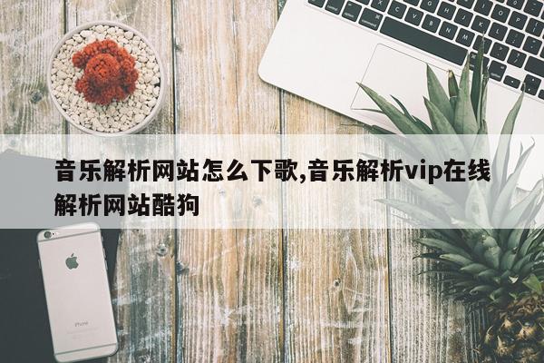音乐解析网站怎么下歌,音乐解析vip在线解析网站酷狗