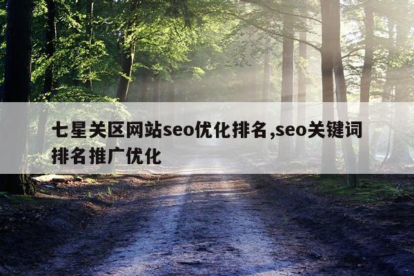 七星关区网站seo优化排名,seo关键词排名推广优化