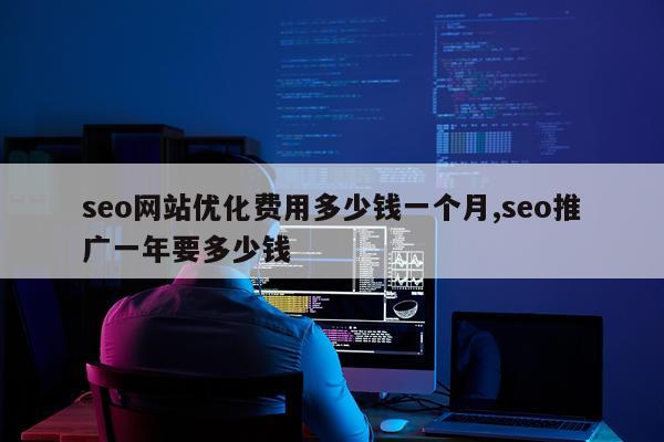 seo网站优化费用多少钱一个月,seo推广一年要多少钱