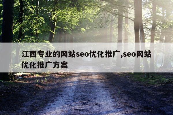 江西专业的网站seo优化推广,seo网站优化推广方案
