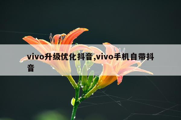 vivo升级优化抖音,vivo手机自带抖音