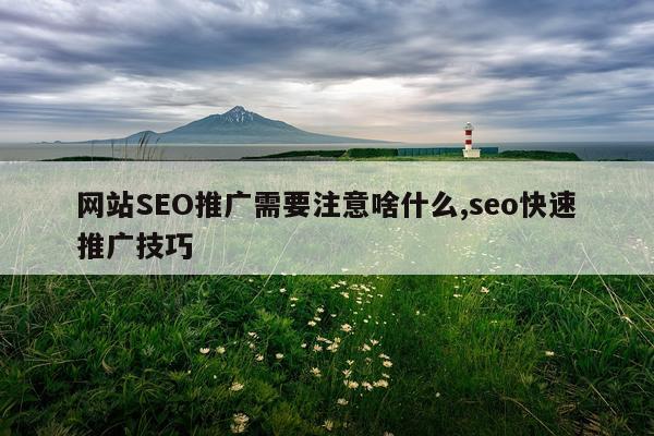 网站SEO推广需要注意啥什么,seo快速推广技巧