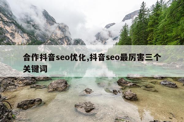 合作抖音seo优化,抖音seo最厉害三个关键词