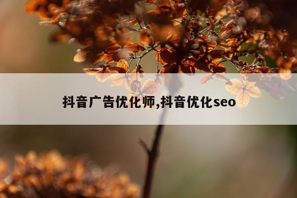 抖音广告优化师,抖音优化seo