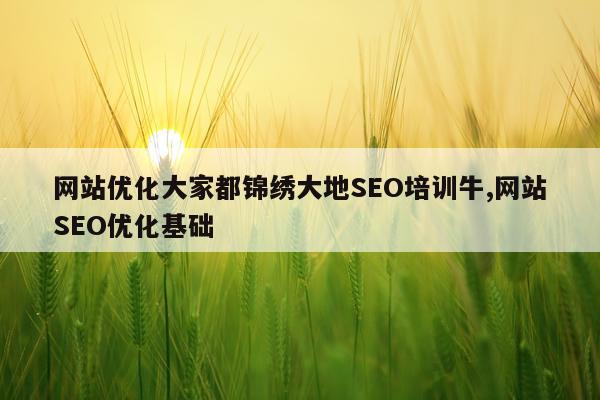 网站优化大家都锦绣大地SEO培训牛,网站SEO优化基础