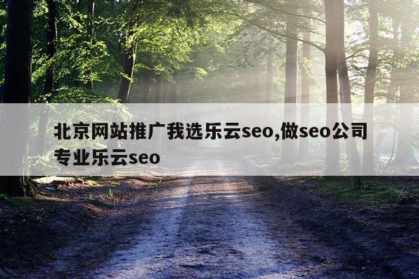 北京网站推广我选乐云seo,做seo公司专业乐云seo