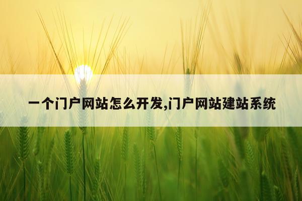 一个门户网站怎么开发,门户网站建站系统