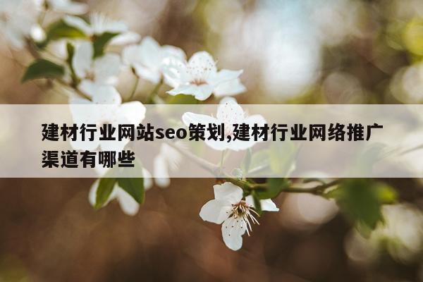建材行业网站seo策划,建材行业网络推广渠道有哪些