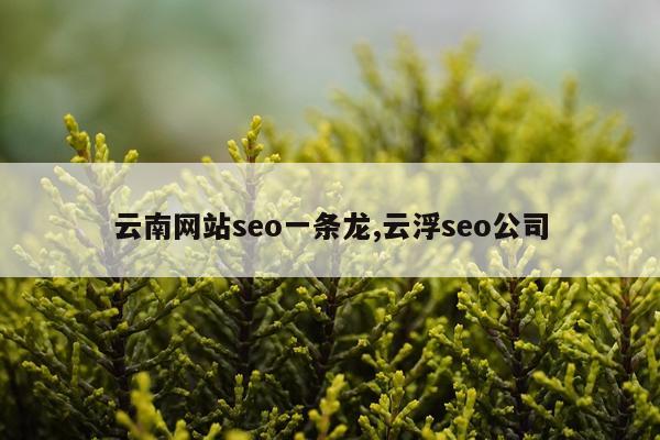 云南网站seo一条龙,云浮seo公司