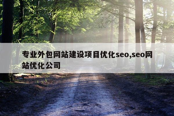 专业外包网站建设项目优化seo,seo网站优化公司