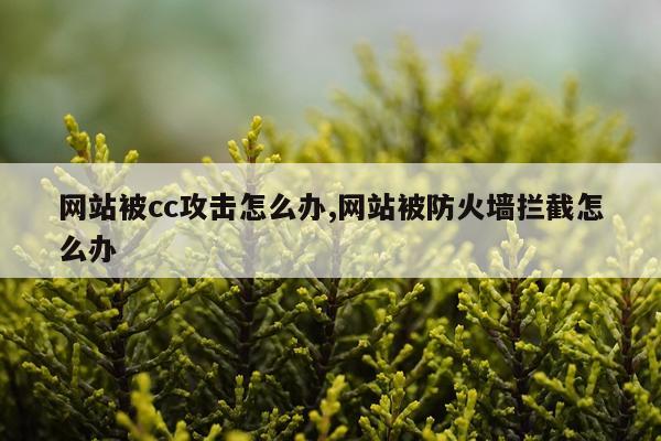 网站被cc攻击怎么办,网站被防火墙拦截怎么办