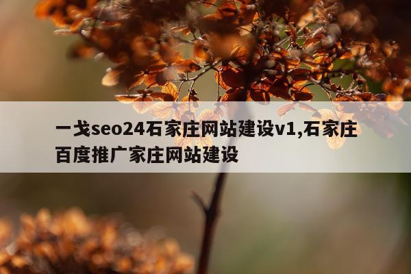 一戈seo24石家庄网站建设v1,石家庄百度推广家庄网站建设