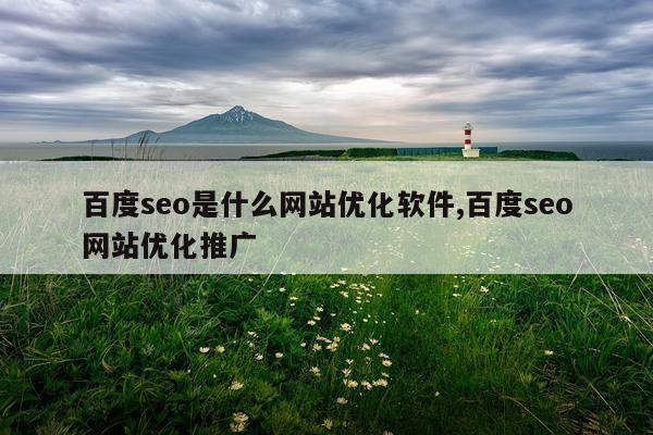 百度seo是什么网站优化软件,百度seo网站优化推广