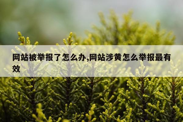 网站被举报了怎么办,网站涉黄怎么举报最有效