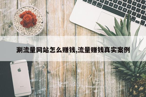 涮流量网站怎么赚钱,流量赚钱真实案例