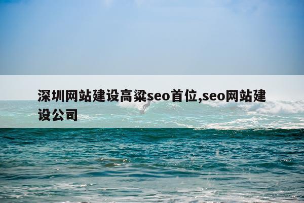 深圳网站建设高粱seo首位,seo网站建设公司