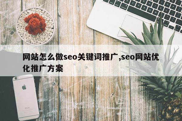 网站怎么做seo关键词推广,seo网站优化推广方案