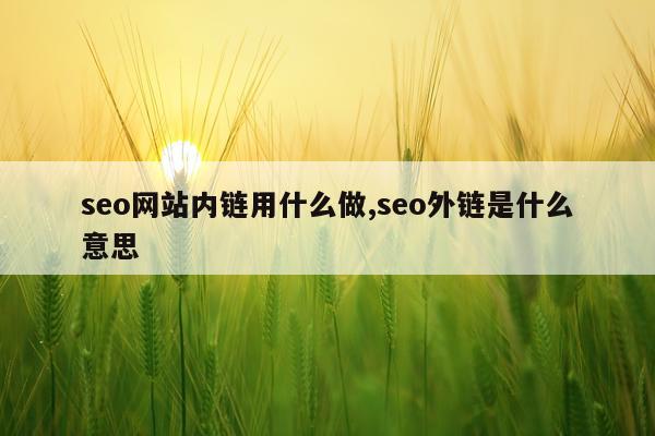 seo网站内链用什么做,seo外链是什么意思