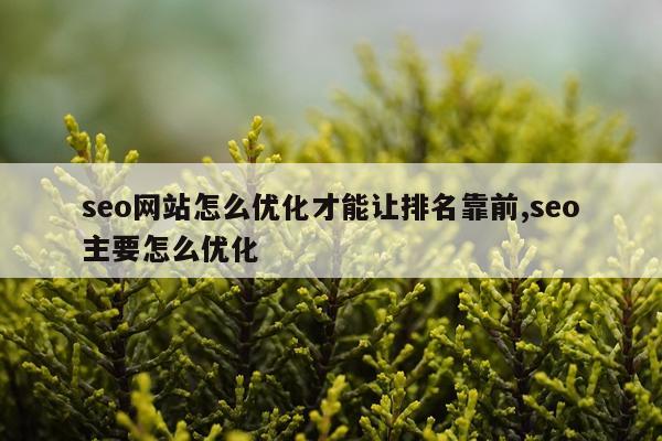 seo网站怎么优化才能让排名靠前,seo主要怎么优化