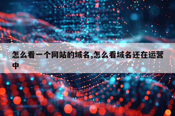 怎么看一个网站的域名,怎么看域名还在运营中