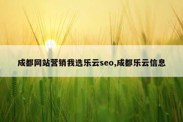 成都网站营销我选乐云seo,成都乐云信息