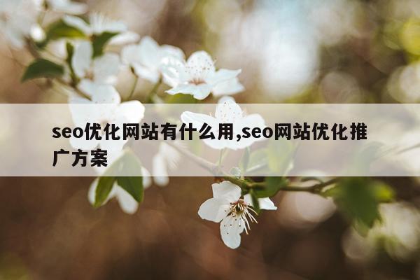 seo优化网站有什么用,seo网站优化推广方案