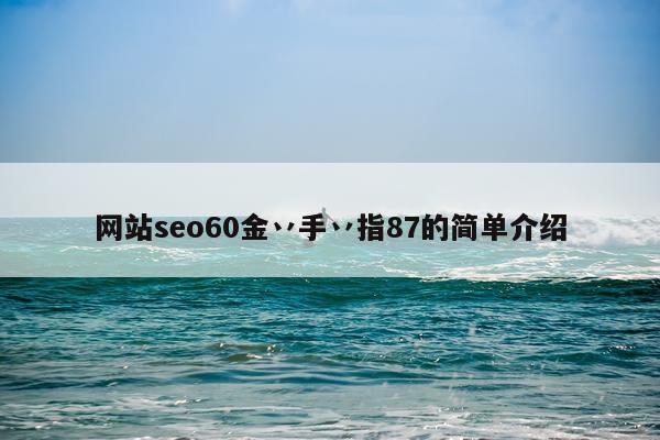 网站seo60金丷手丷指87的简单介绍