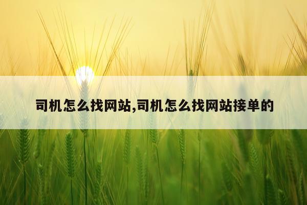 司机怎么找网站,司机怎么找网站接单的