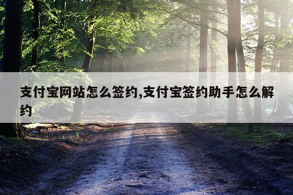 支付宝网站怎么签约,支付宝签约助手怎么解约