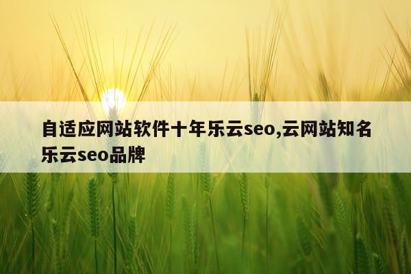 自适应网站软件十年乐云seo,云网站知名乐云seo品牌