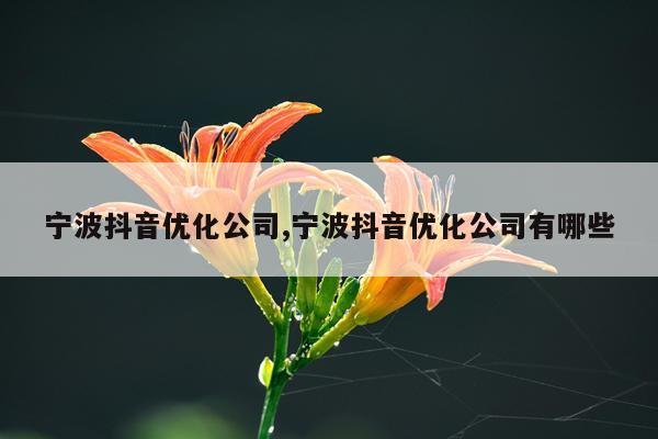 宁波抖音优化公司,宁波抖音优化公司有哪些