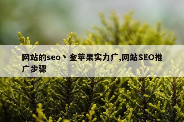 网站的seo丶金苹果实力疒,网站SEO推广步骤
