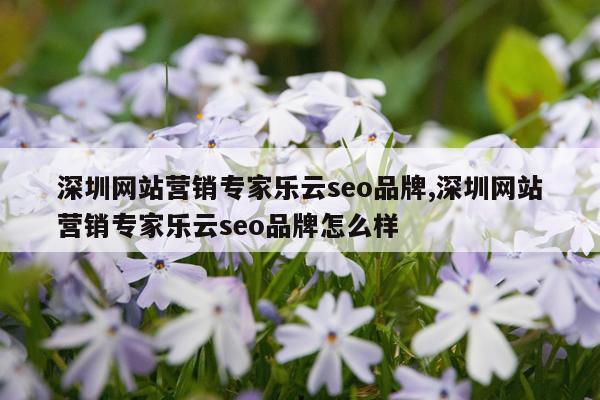 深圳网站营销专家乐云seo品牌,深圳网站营销专家乐云seo品牌怎么样