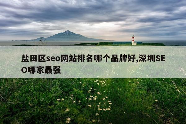 盐田区seo网站排名哪个品牌好,深圳SEO哪家最强