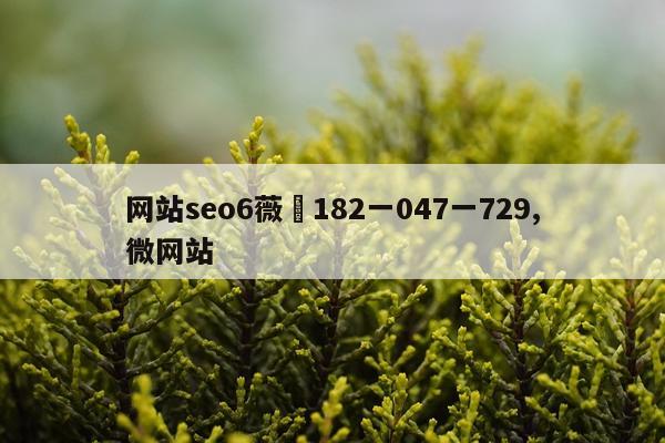 网站seo6薇鈊182一047一729,微网站