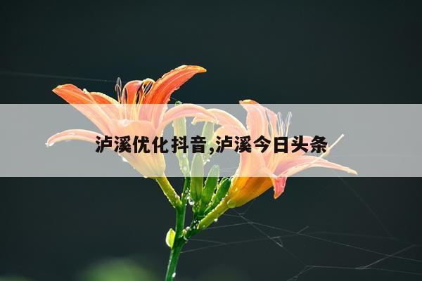 泸溪优化抖音,泸溪今日头条