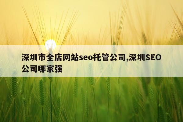 深圳市全店网站seo托管公司,深圳SEO公司哪家强