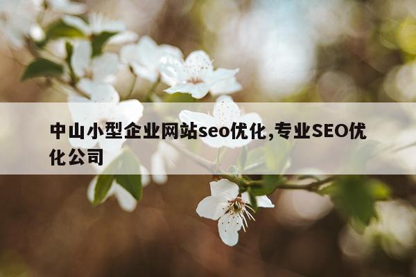 中山小型企业网站seo优化,专业SEO优化公司
