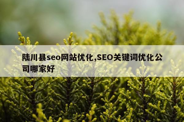 陆川县seo网站优化,SEO关键词优化公司哪家好