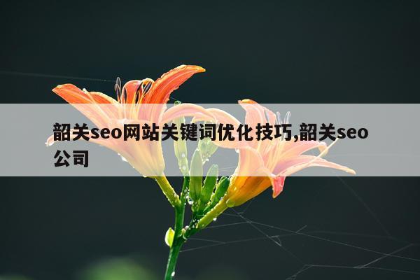 韶关seo网站关键词优化技巧,韶关seo公司