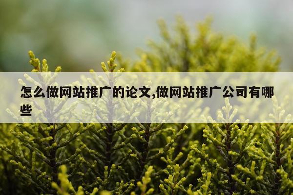 怎么做网站推广的论文,做网站推广公司有哪些